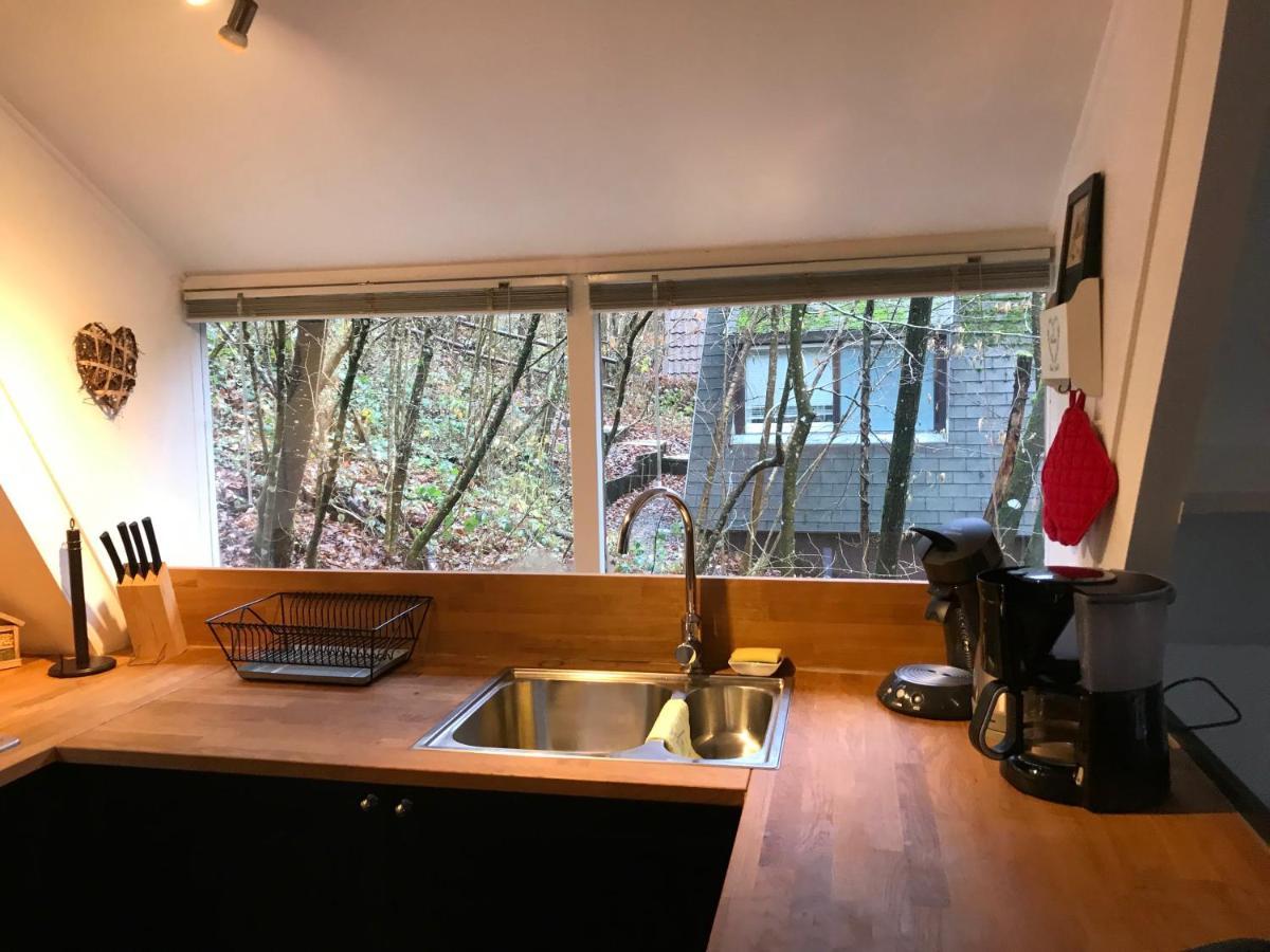 Heavenly Renovated Cabin Near Pittoresque Durbuy - Whistler Villa Eksteriør bilde