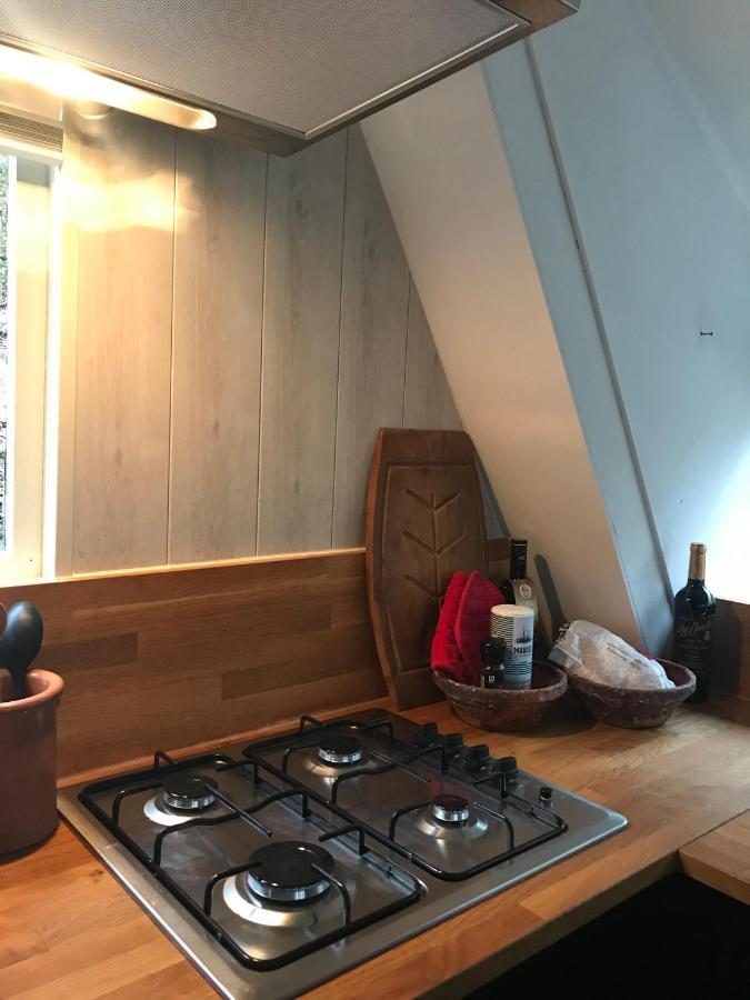 Heavenly Renovated Cabin Near Pittoresque Durbuy - Whistler Villa Eksteriør bilde